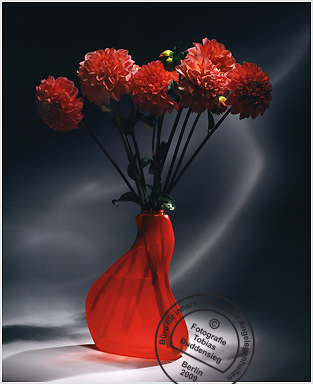 Blumen 07 - Rote Flasche mit roten Dalien
