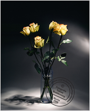 Blumen 10 - Transparente Flasche mit gelben Rosen