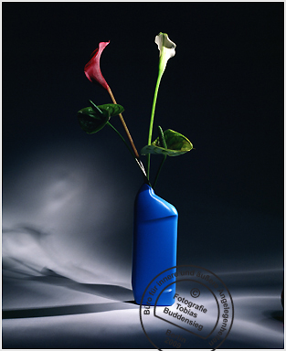 Blumen 11 - Blaue Flasche mit Trompetenblumen
