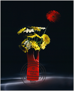 Blumen 12 - Rote Flasche mit gelben und weißen Gerberas