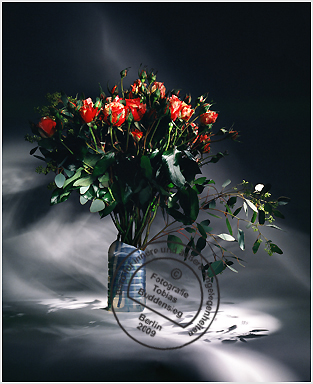 Blumen 13 - Transparente Flasche mit Strauß rot-weißer Rosen