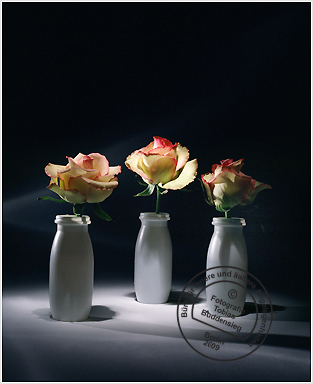 Blumen 16 - Drei Danonebecher mit weißen Rosen