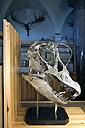 brachiosaurus_0190